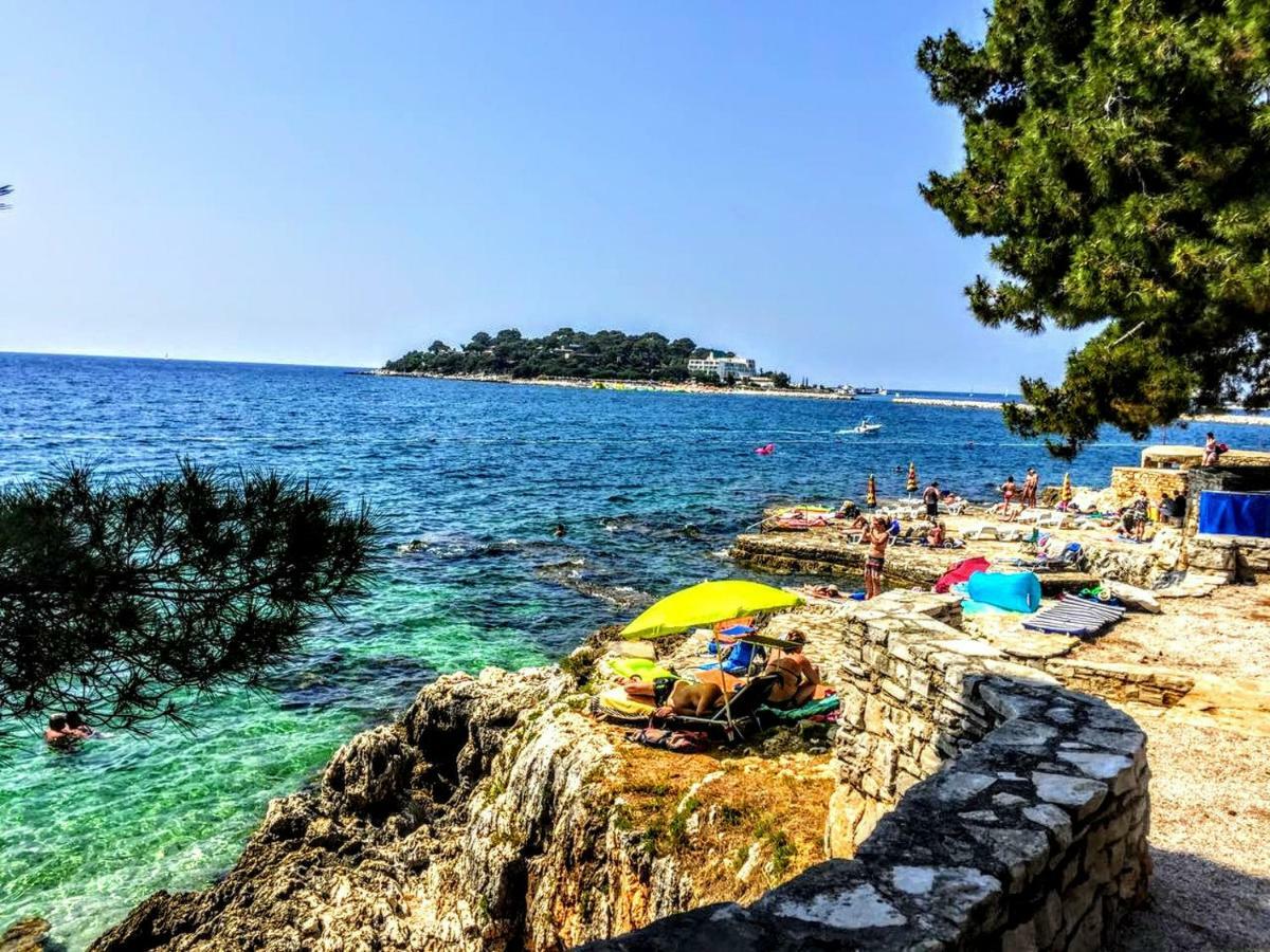 Apartman Maslina Poreč Dış mekan fotoğraf