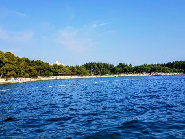 Apartman Maslina Poreč Dış mekan fotoğraf