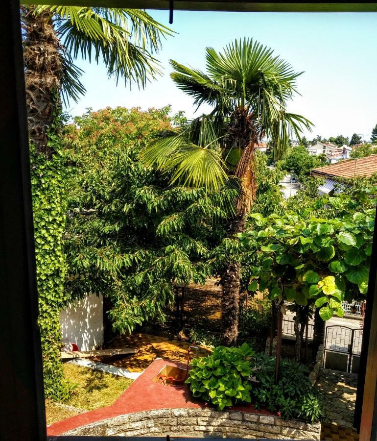 Apartman Maslina Poreč Dış mekan fotoğraf